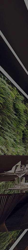 landing-page-1